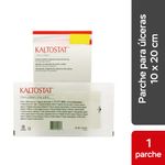 Kaltostat-Aposito--10-cm-x-20-cm----Sobre-1-und