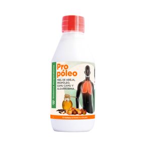 Vid Natur Propóleo Con Miel Algarrobina Y Camu Camu - Frasco 200 ml