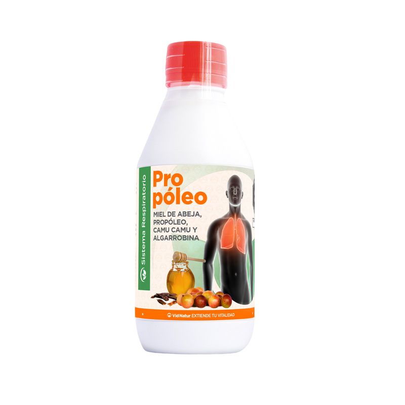 Vid-Natur-Propoleo-Con-Miel-Algarrobina-Y-Camu-Camu---Frasco-200-ml