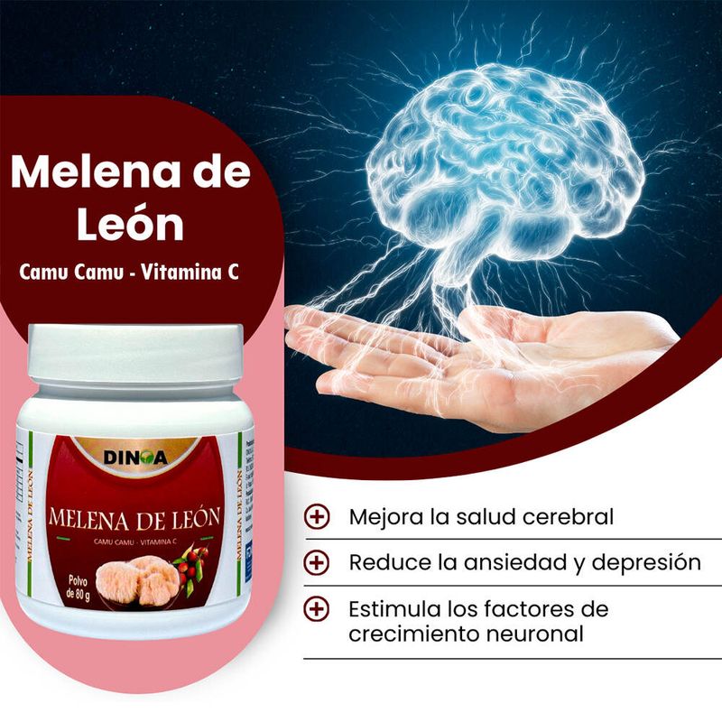 Dinoa-Melena-de-Leon-en-Polvo---Frasco-80-g