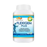 Gilsan-Flexigem-Plus-en-Polvo---Frasco-550-g