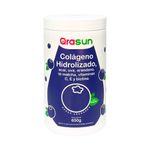 Qrasun-Colageno-Hidrolizado-en-Polvo-Sabor-Arandano---Pote-650-g